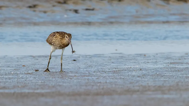 Bild von Bremerhaven